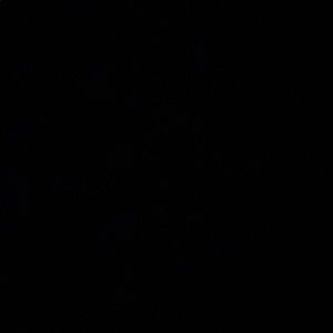 Meet your Posher, Rexford